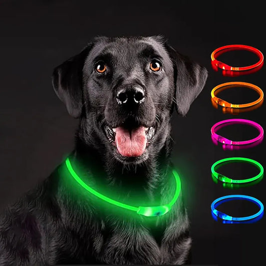 Glow in The Dark Pet Collar